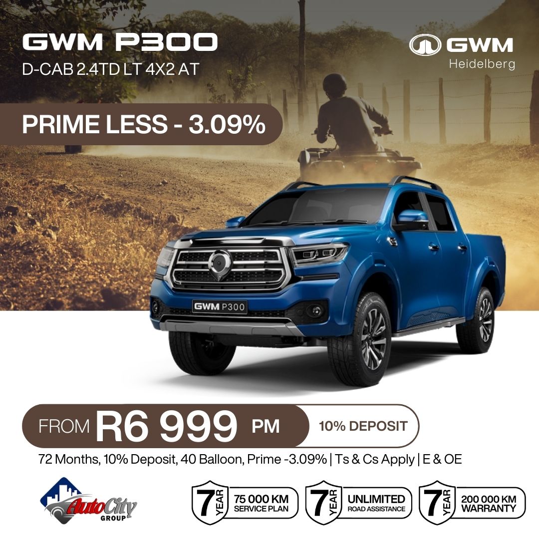 GWM P300 LT DC image from 